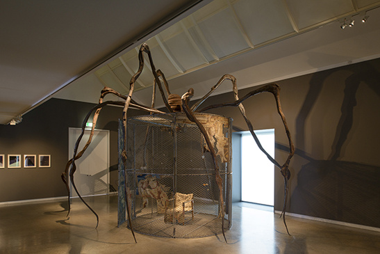 Louise Bourgeois, Spider, 1997